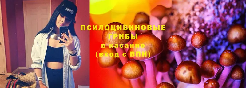 Псилоцибиновые грибы Magic Shrooms  Бежецк 